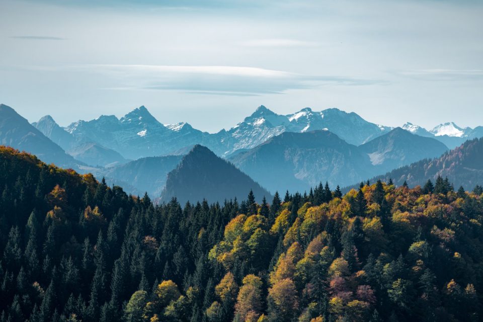 Mountains Forest
